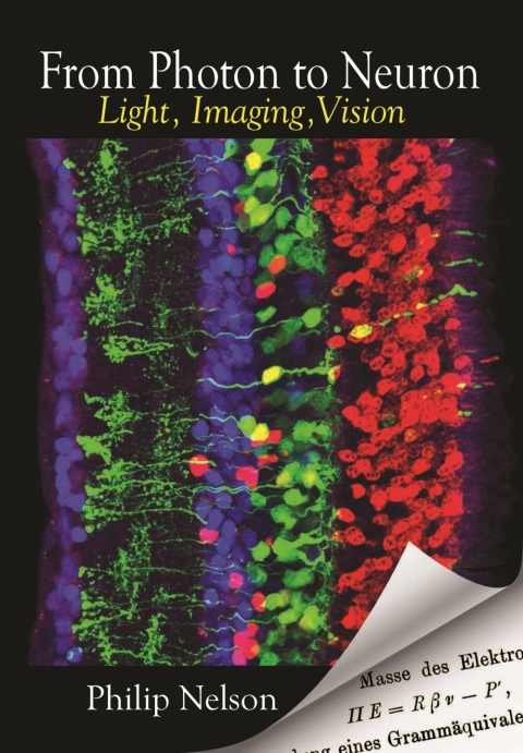 From Photon to Neuron 