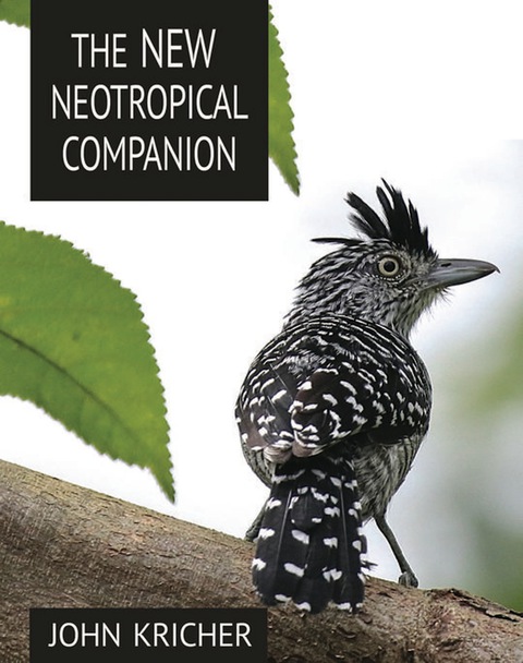 Cover image for book The New Neotropical Companion