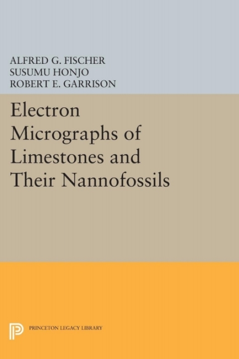 Electron Micrographs of Limestones and Their Nannofossils 