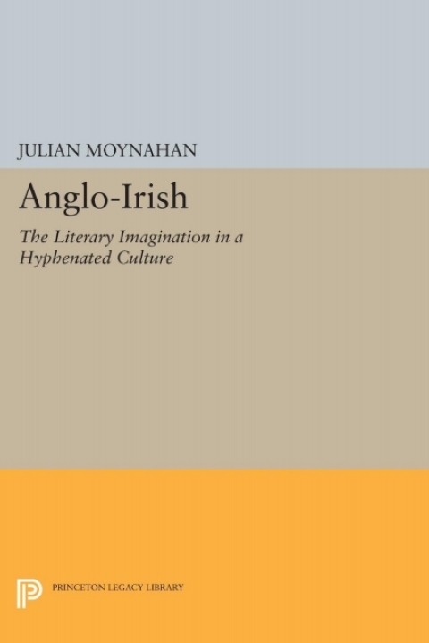 Cover image for book Anglo-Irish