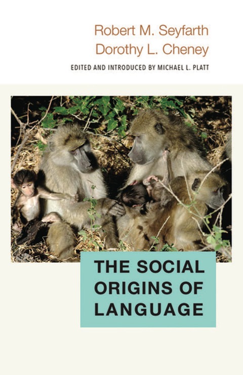 Cover image for book The Social Origins of Language
