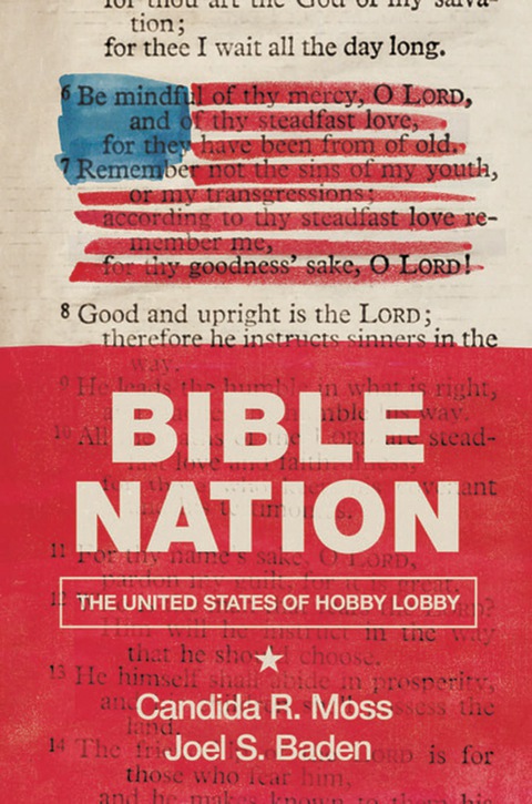 Cover image for book Bible Nation