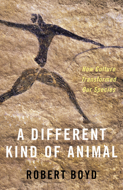 Cover image for book A Different Kind of Animal