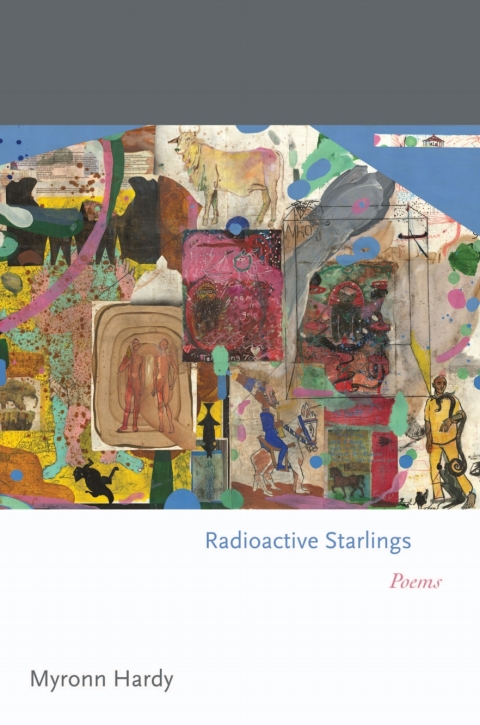 Radioactive Starlings 