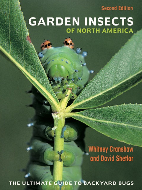 Cover image for book Garden Insects of North America
