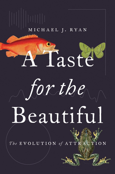 A Taste for the Beautiful 
