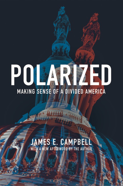 Cover image for book Polarized