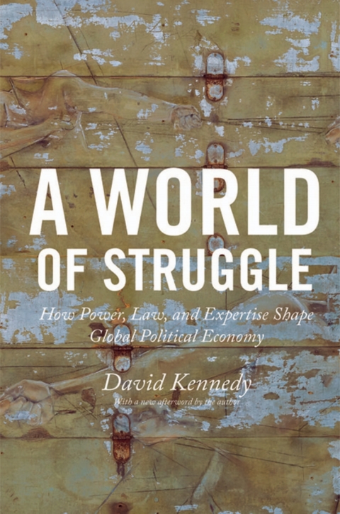 Cover image for book A World of Struggle