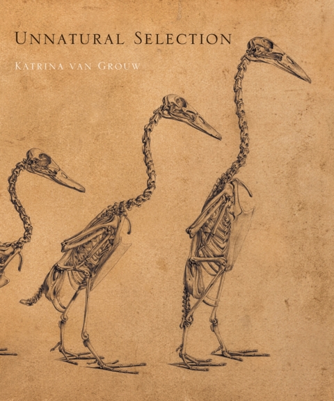 Cover image for book Unnatural Selection