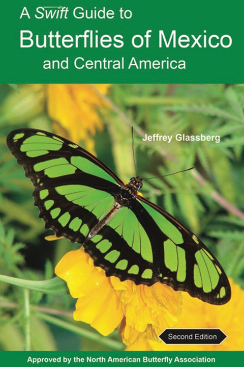 Cover image for book A Swift Guide to Butterflies of Mexico and Central America