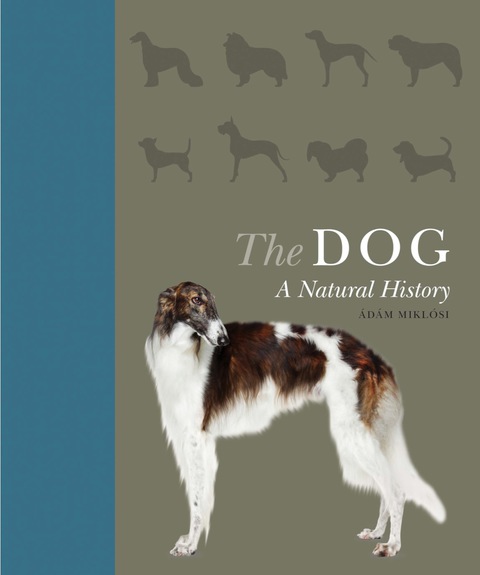 Cover image for book The Dog
