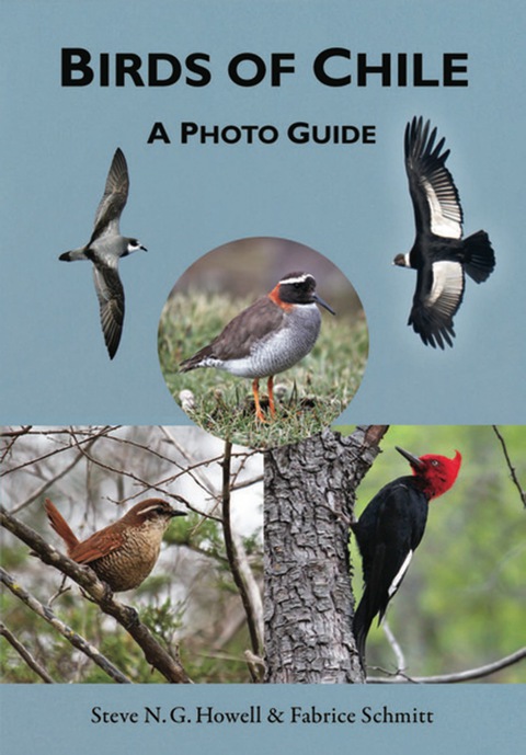 Cover image for book Birds of Chile