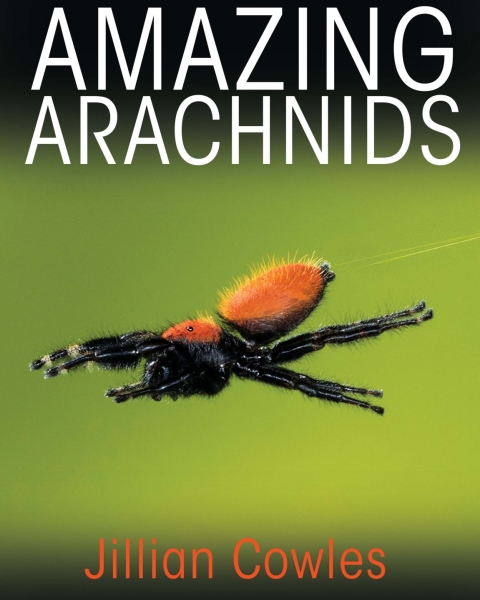 Cover image for book Amazing Arachnids