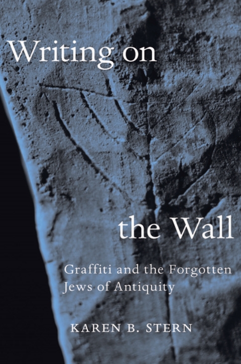 Cover image for book Writing on the Wall