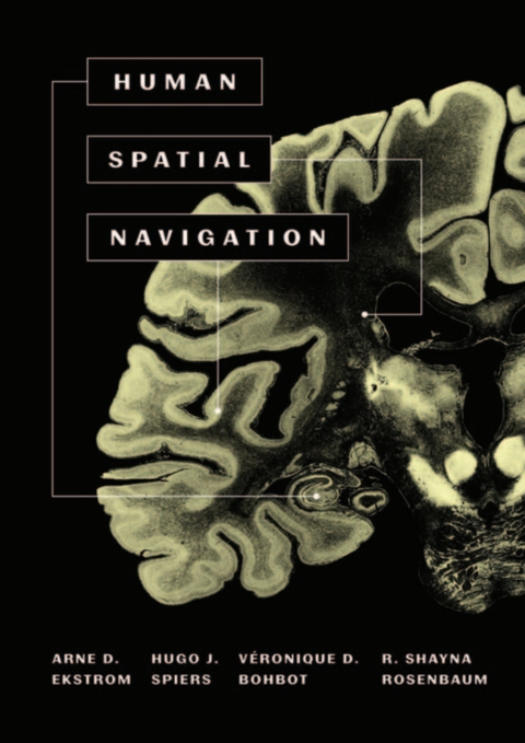 Cover image for book Human Spatial Navigation