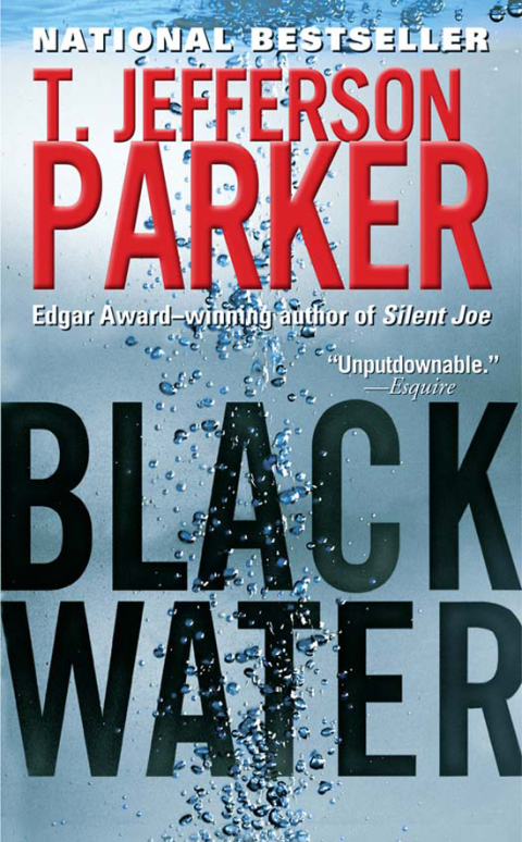 Cover image for book Black Water