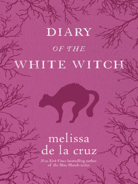 Cover image for book Diary of the White Witch