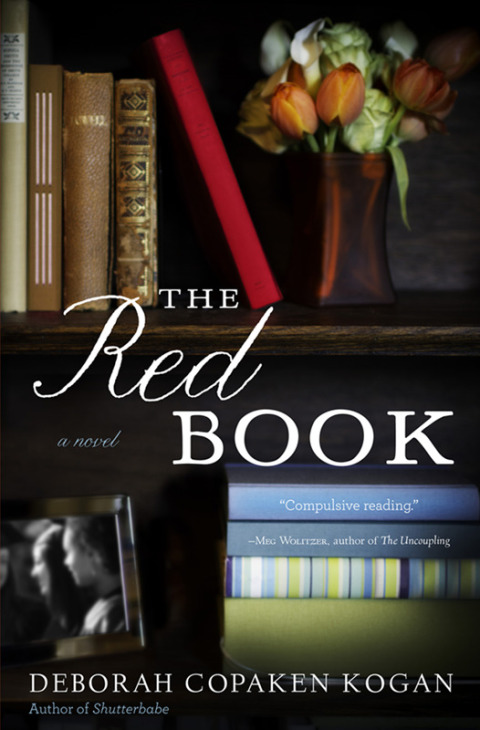 Cover image for book The Red Book