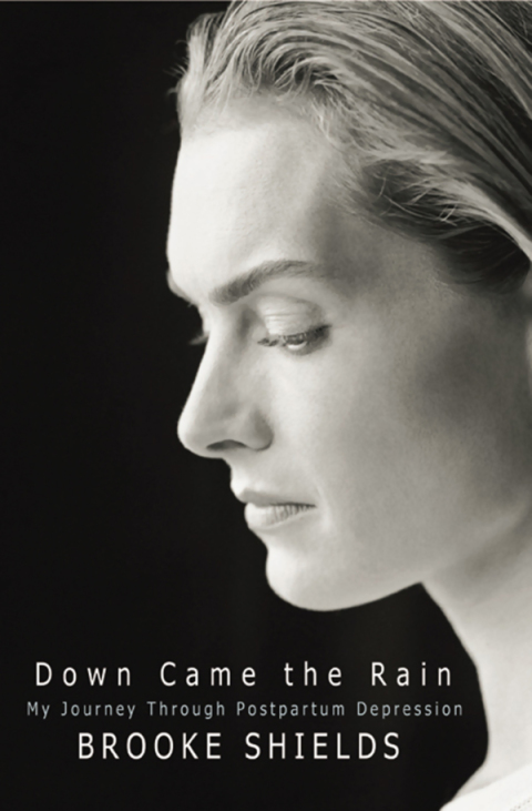 Cover image for book Down Came the Rain