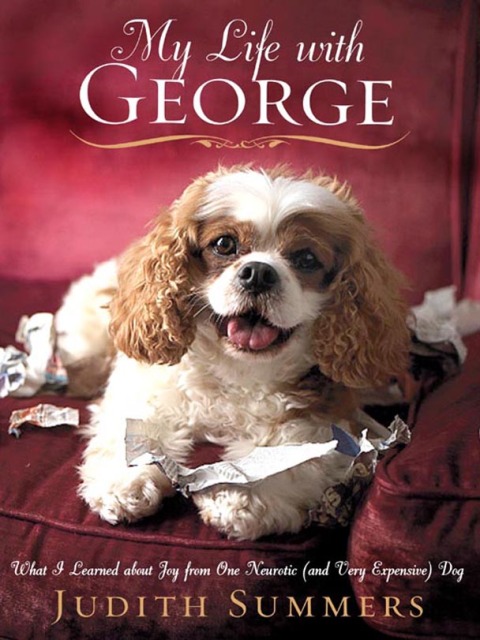 Cover image for book My Life With George