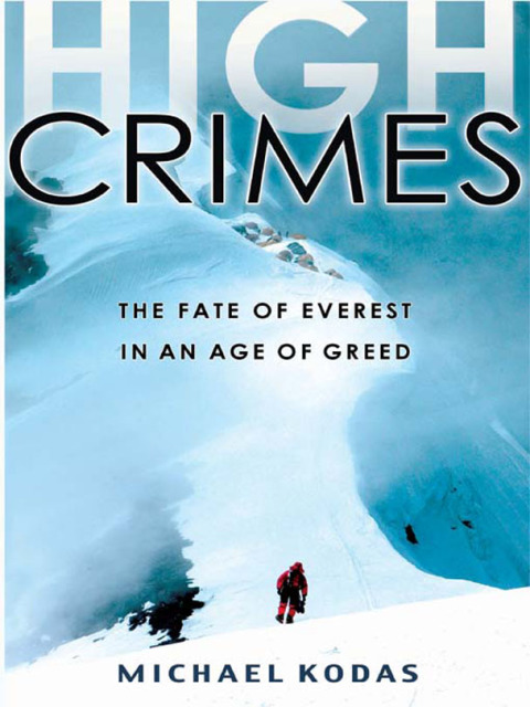 Cover image for book High Crimes