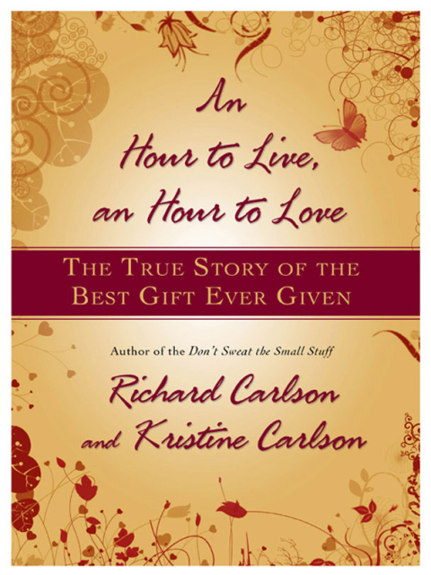 Cover image for book An Hour to Live, an Hour to Love