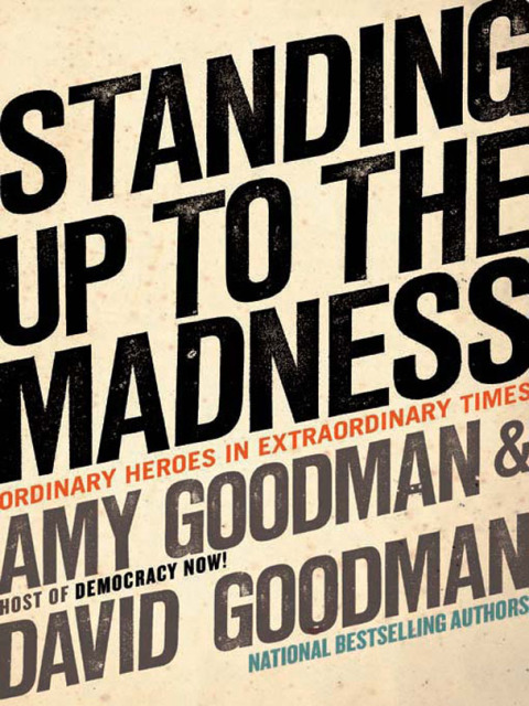 Cover image for book Standing Up to the Madness
