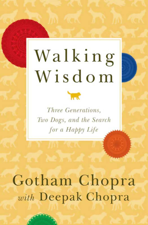 Cover image for book Walking Wisdom