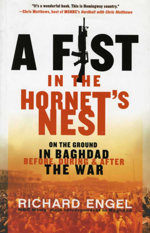 Cover image for book A Fist in the Hornet's Nest