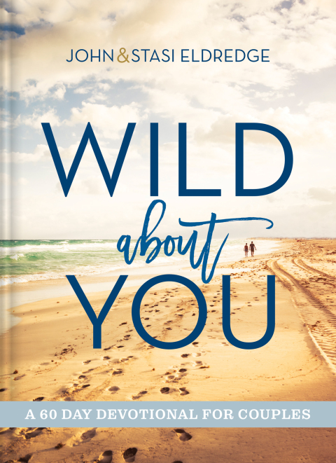 Cover image for book Wild About You
