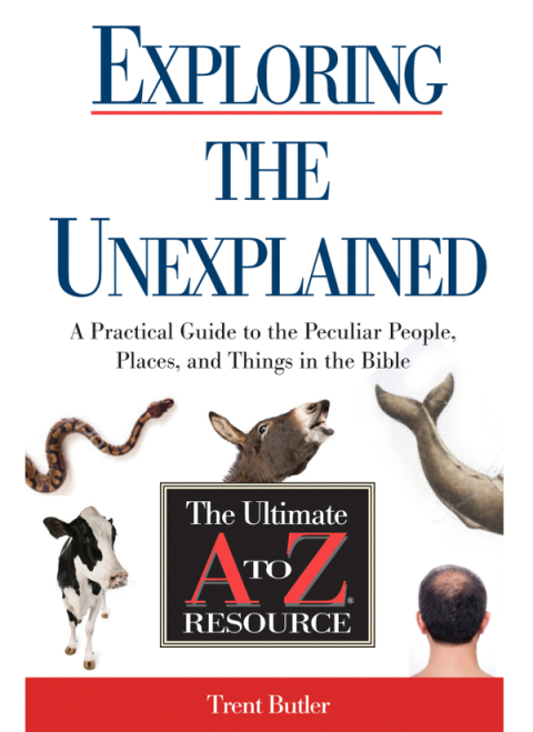 Cover image for book Exploring the Unexplained