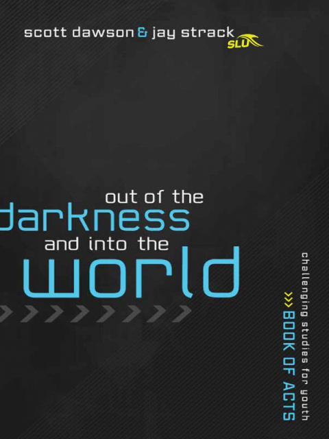 Cover image for book Out of the Shadows and Into the World