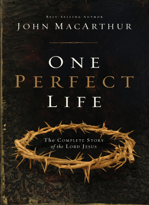 Cover image for book One Perfect Life