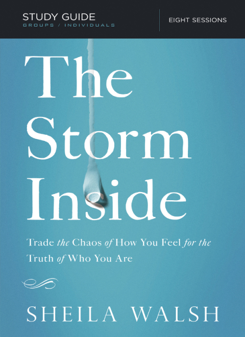 Cover image for book The Storm Inside Bible Study Guide