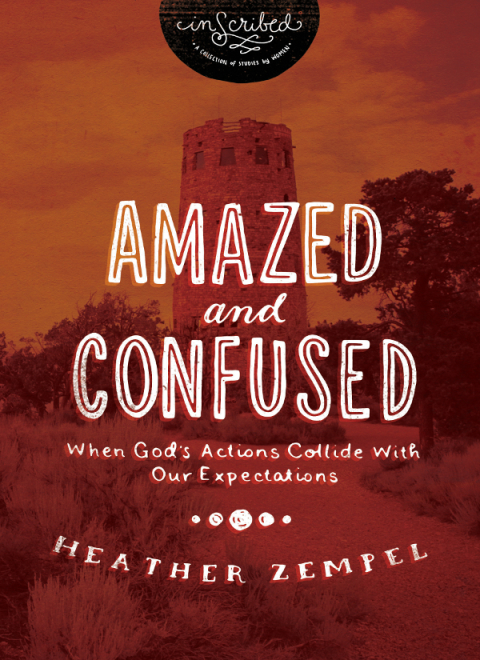 Cover image for book Amazed and Confused