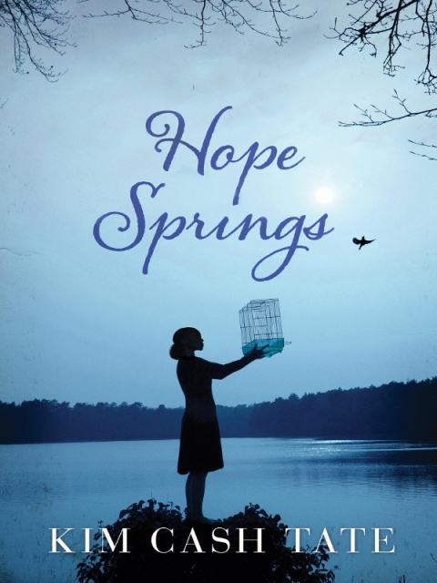 Cover image for book Hope Springs