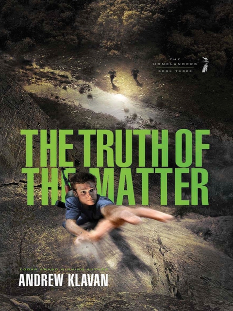 Cover image for book The Truth of the Matter
