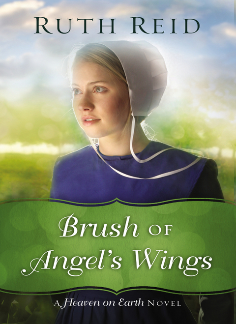 Cover image for book Brush of Angel's Wings