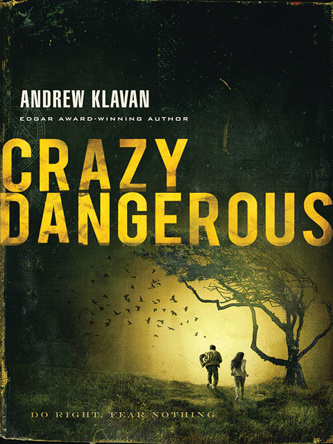 Cover image for book Crazy Dangerous