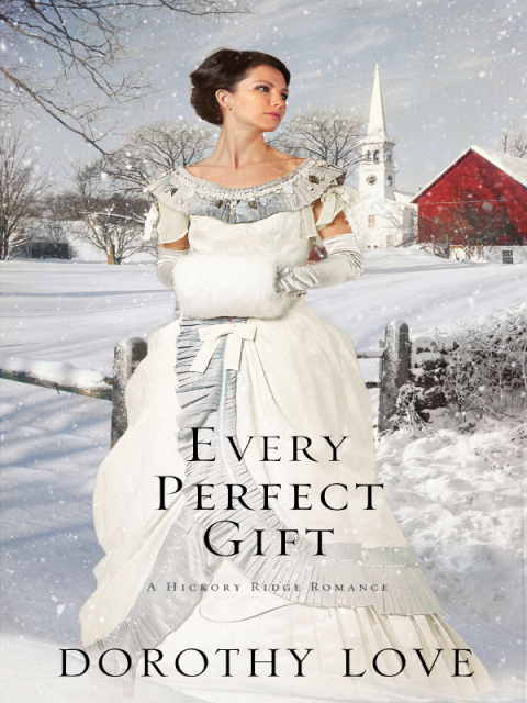 Cover image for book Every Perfect Gift