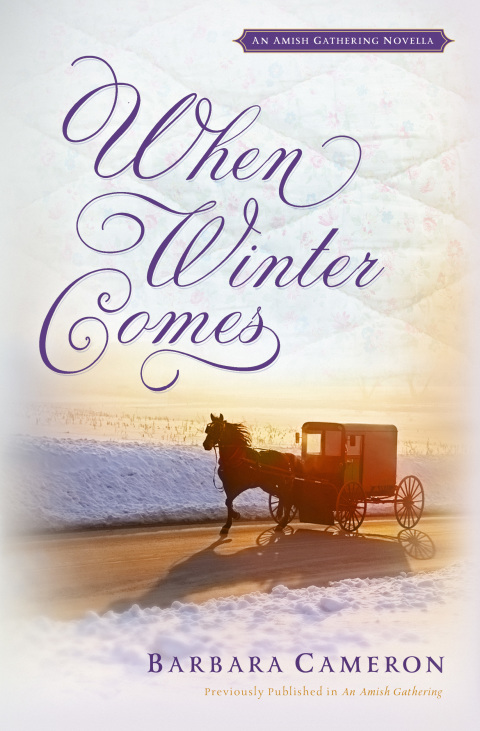Cover image for book When Winter Comes