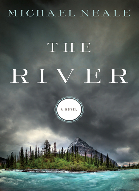 Cover image for book The River
