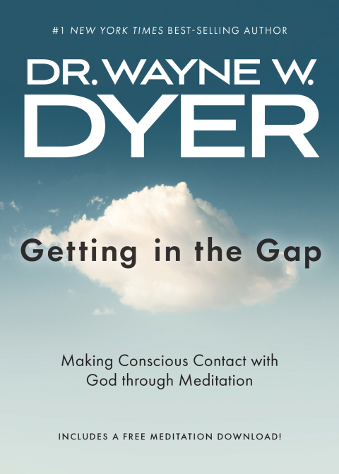 Cover image for book Getting In the Gap