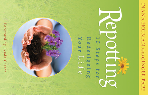 Cover image for book Repotting