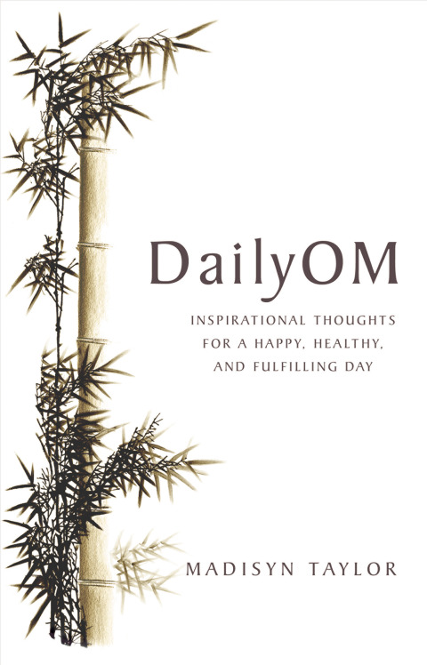 Cover image for book DailyOM