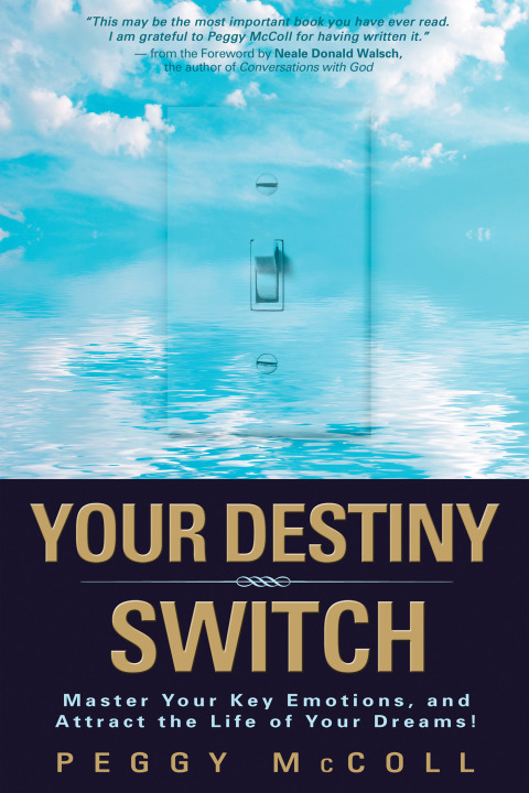 Cover image for book Your Destiny Switch