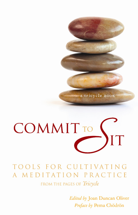 Cover image for book Commit to Sit
