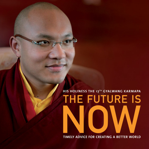 Cover image for book The Future Is Now