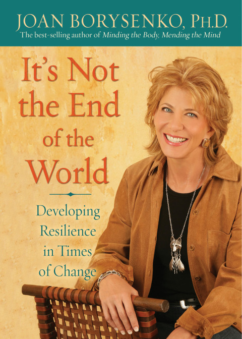 Cover image for book It's Not the End of the World