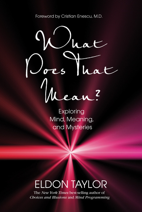 Cover image for book What Does That Mean?